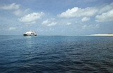 653_Bij Michaelmas Kay, Cairns - Groot Barriere rif